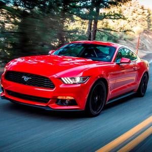 Meet your Posher, Mohamad